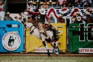 Pendleton Round-Up