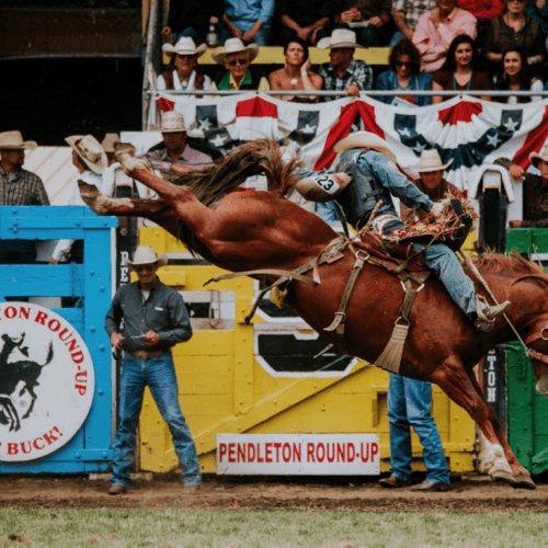 Pendleton Round-Up